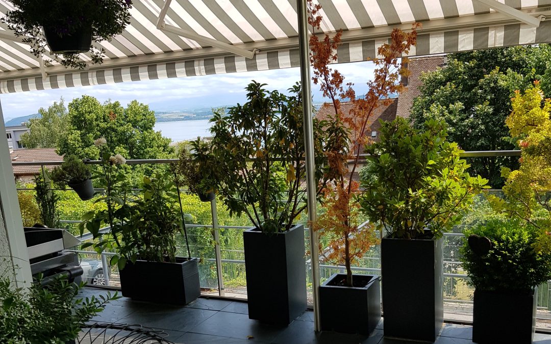 Appartement d&rsquo;exception