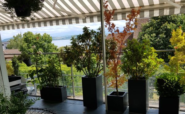 Appartement d’exception