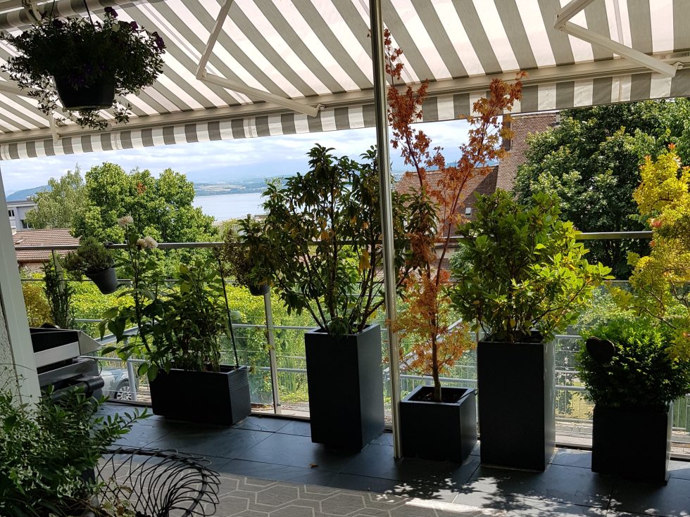 20240724_150941 en 4-3