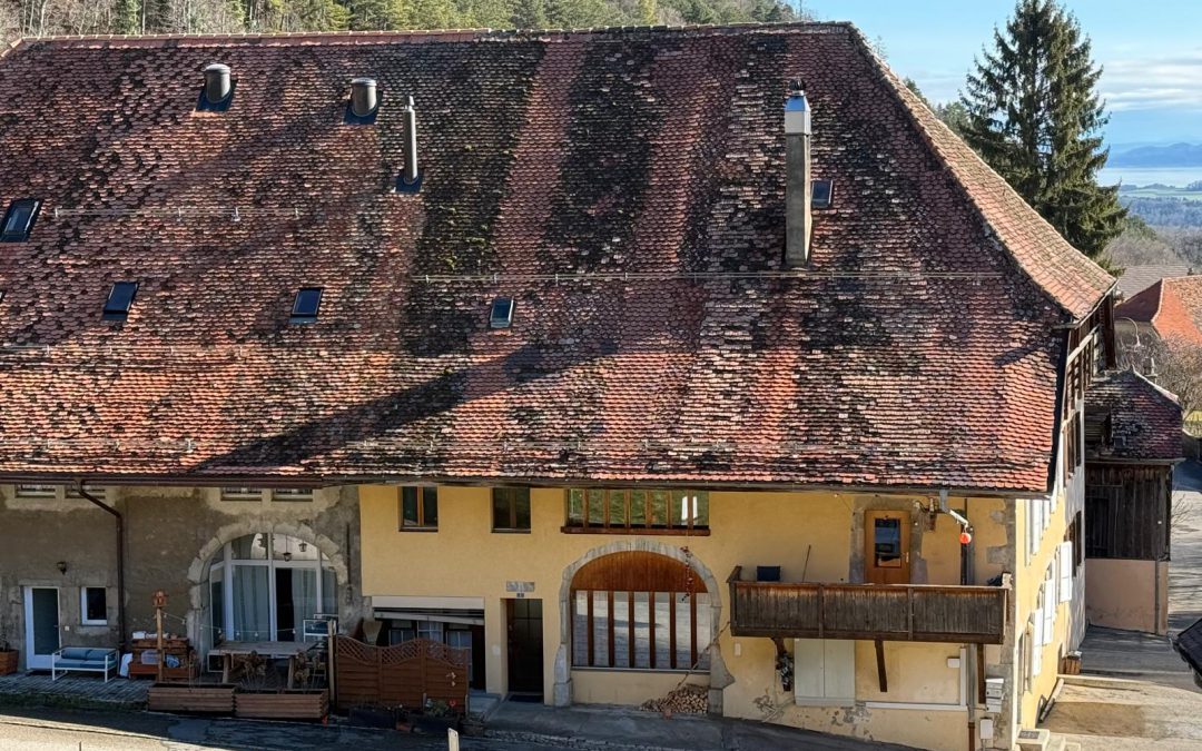 Ferme à rénover – fort potentiel
